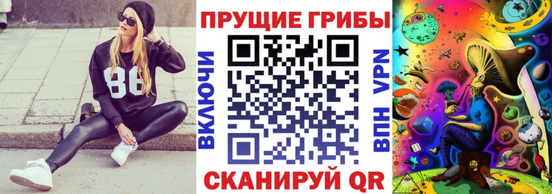 Галлюциногенные грибы MAGIC MUSHROOMS  наркошоп  Урень 